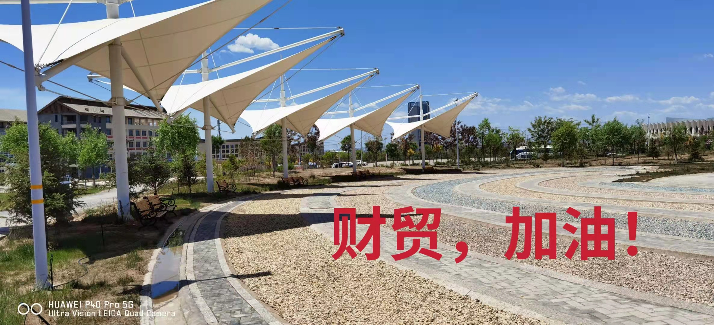 图片 15.png